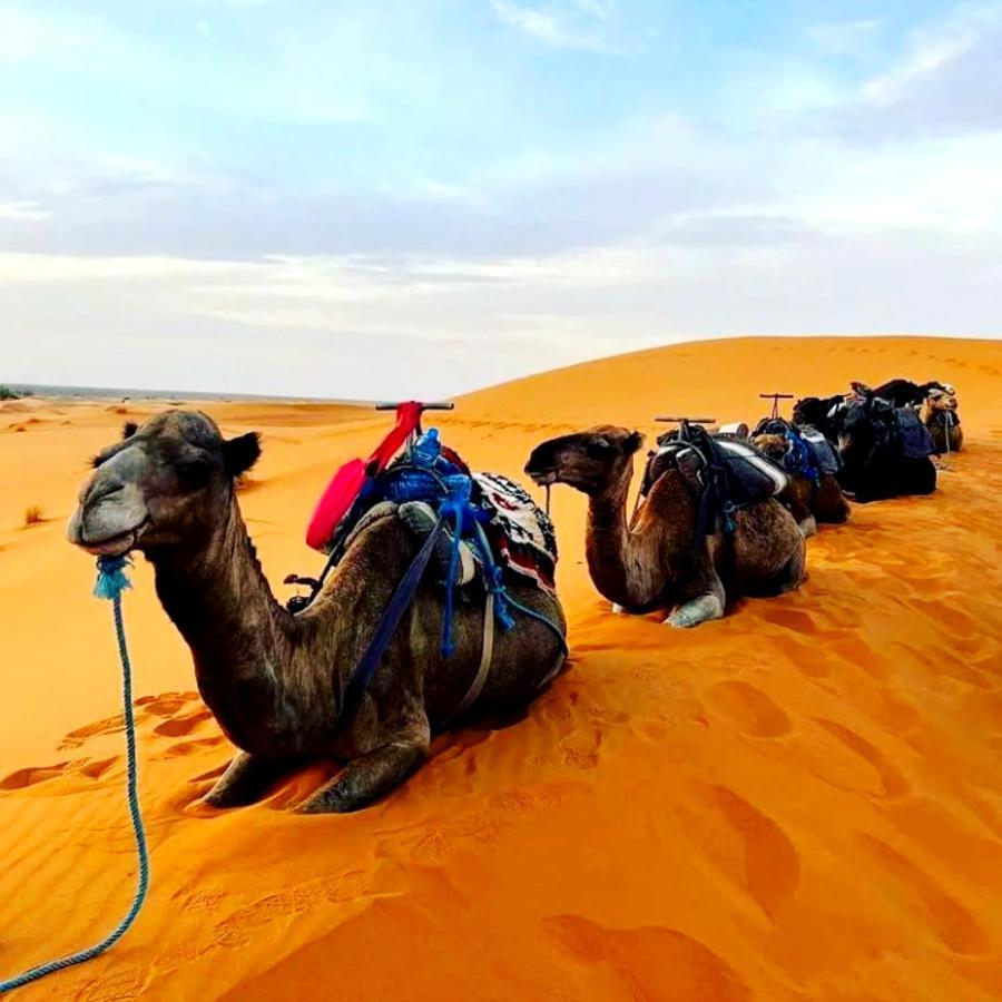 Bedouin Desert Camp Merzouga Luaran gambar